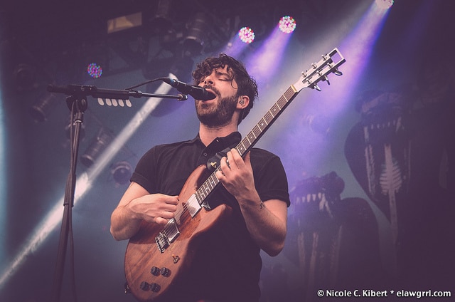 Foals