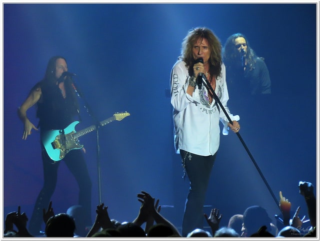 Whitesnake