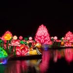 DublinZoo WildLights08