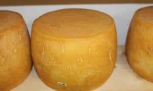 Cheese Shelf