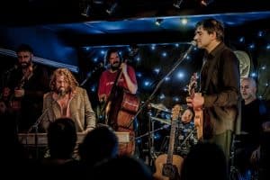 Hothouse Flowers colour 002