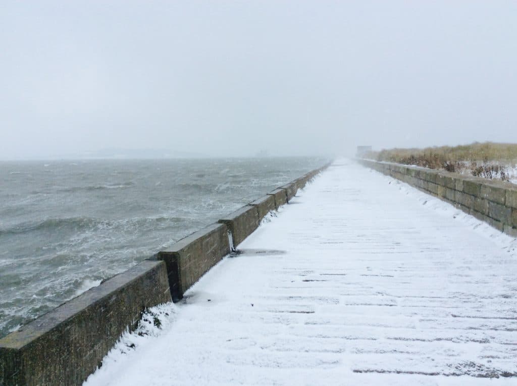 storm emma 1