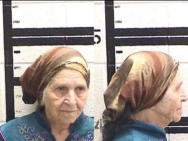 US Police Taser 87 Year Old Woman