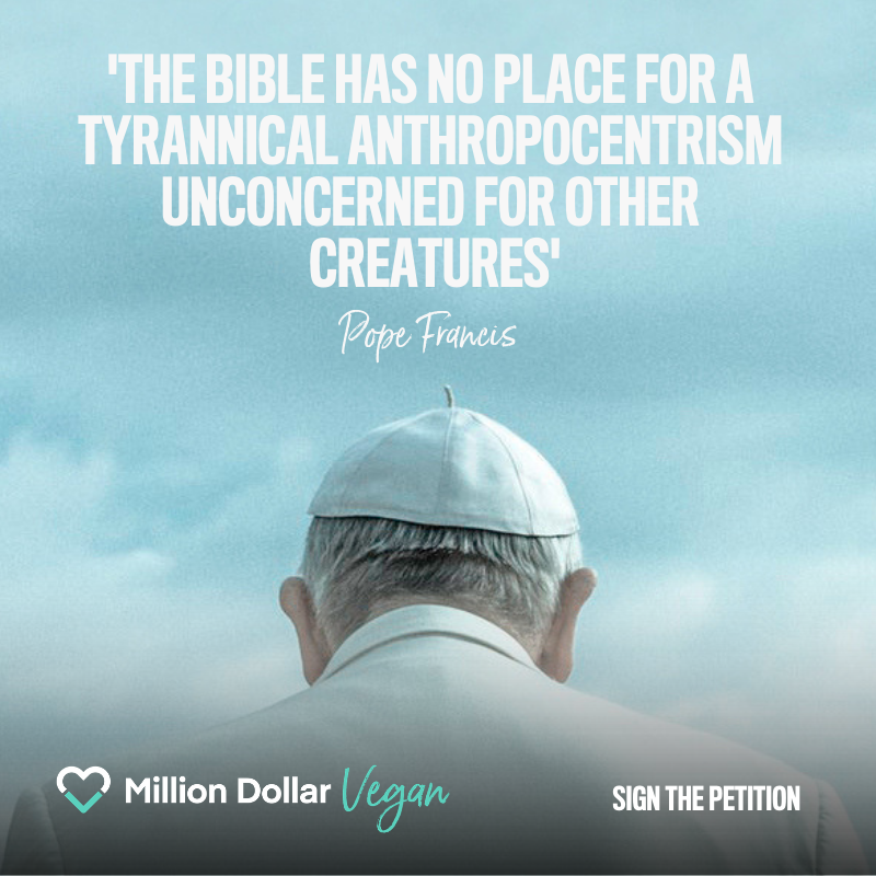 Pope, A New Global Campaign Offers Pope Francis $1 Million To Go Vegan For Lent!