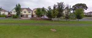 Lucan