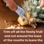 Pineapple 3