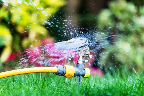 Water Garden Sprinkler