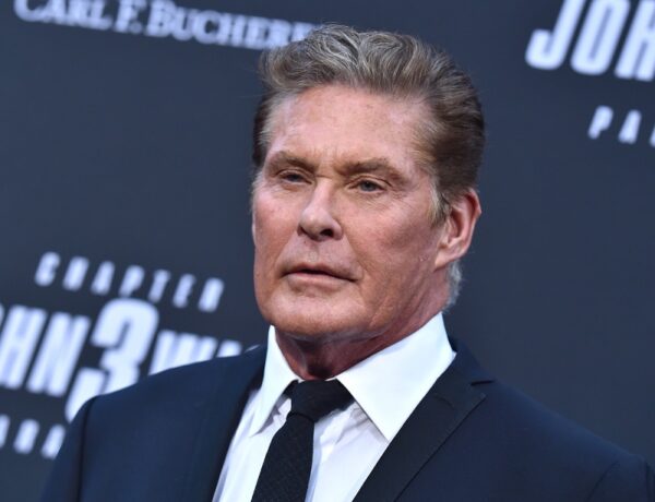 altimage="Hasselhoff"