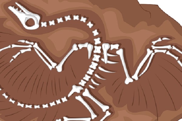 altimage="dinosaur"