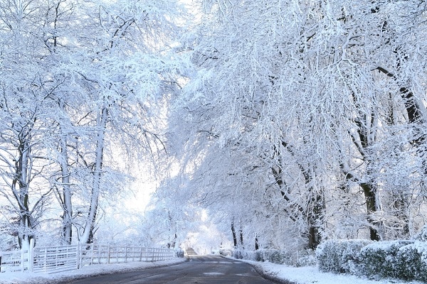 altimage="weather"