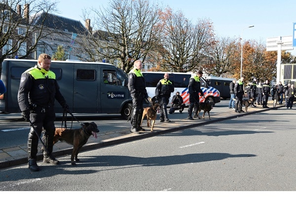 riots