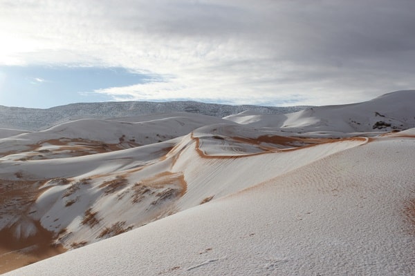 desert