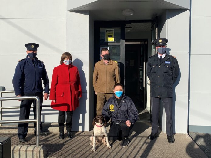 Stolen Dog Found In The UK And Reunited With Family in Cork