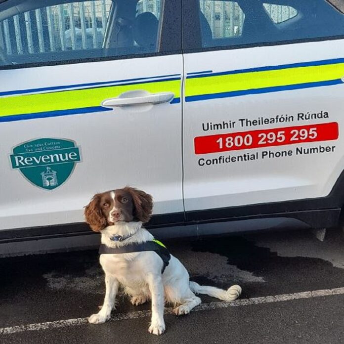 Waffle The Sniffer Dog Uncovers Over €1.24 Million Of Tobacco at Dublin Port