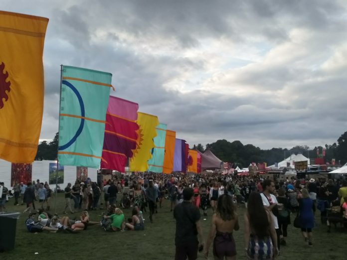 Electric Picnic Organisers Push For Festival To Go Ahead