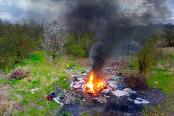 bonfire