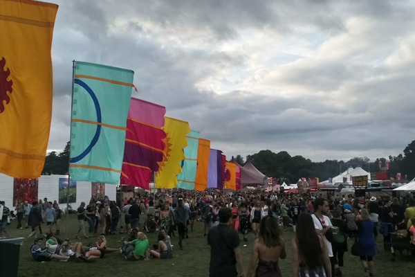 "Electric Picnic"