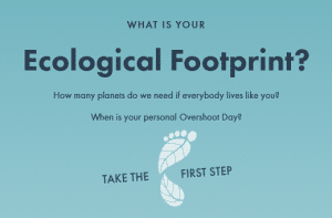 Footprint Calculator