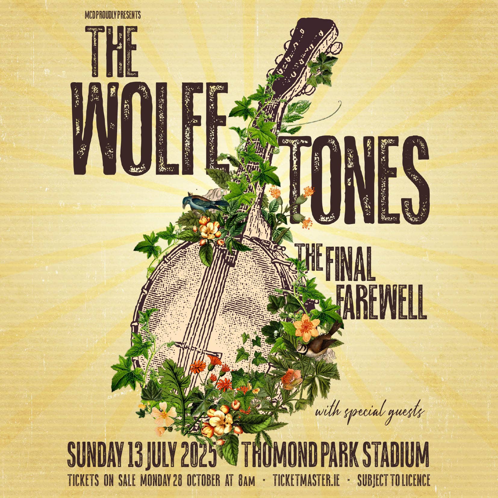 Wolfe Tones Announce Final Irish Show Next Summer.JPG