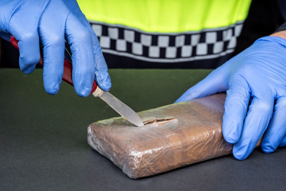 Drugs seizure