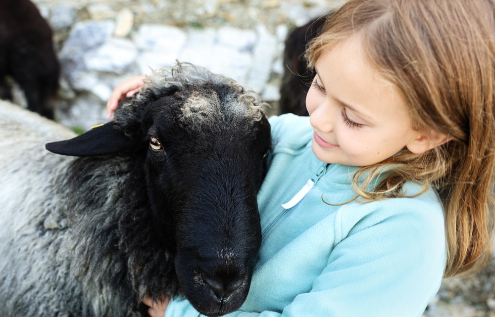 Happy kid hugging a sheep