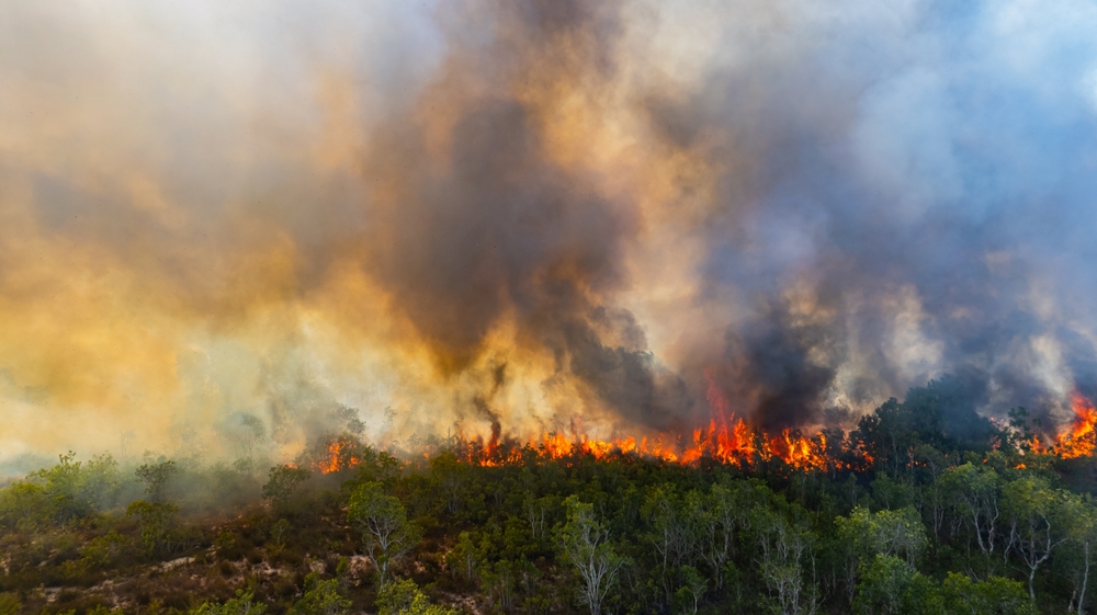 Forest fire, wildfire, Wales