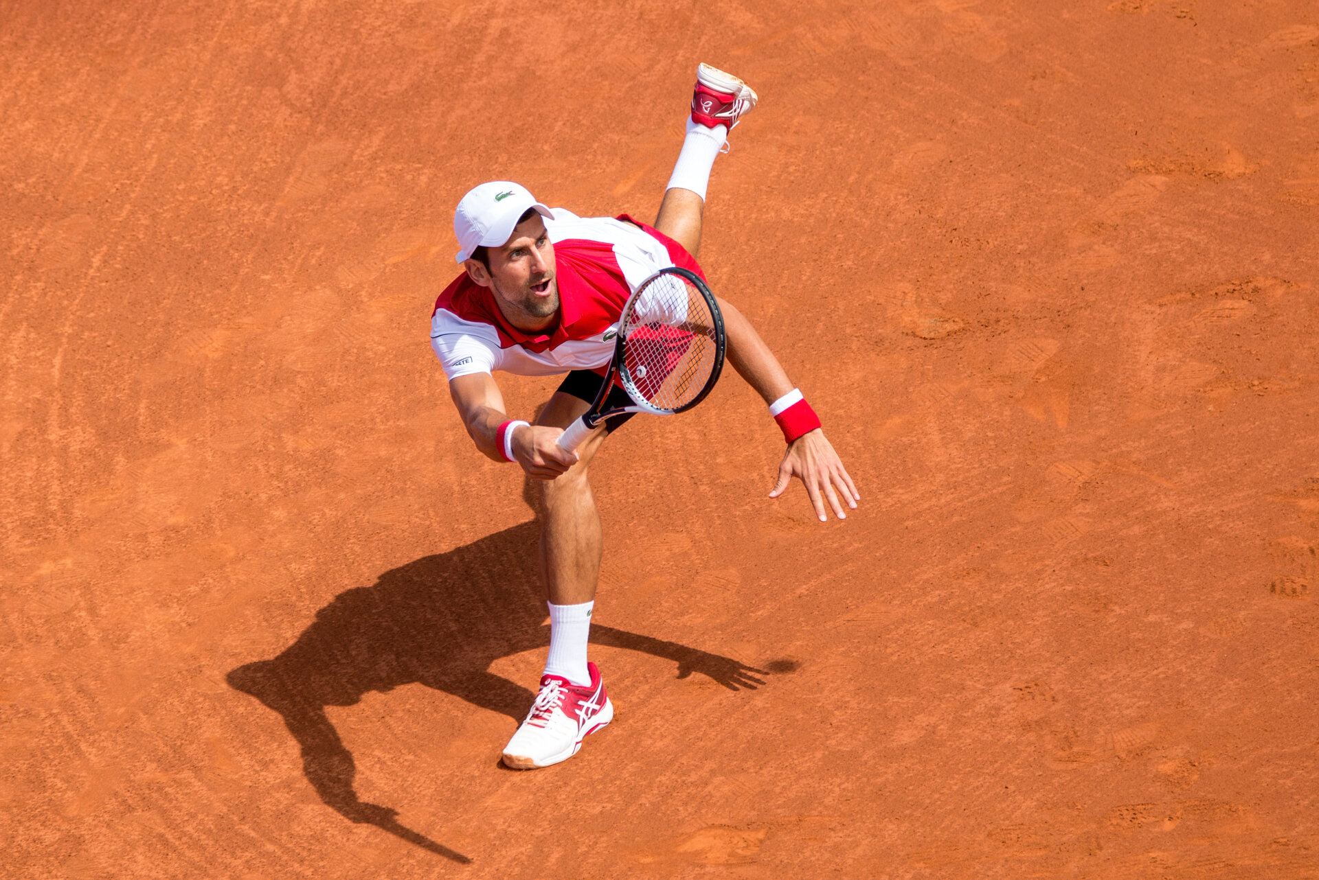 Novak Djokovic. Christian Bertrand, Shutterstock