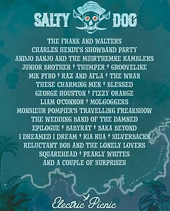 Line-Up Announced For Salty Dog Stage At Electric Picnic 3 Screenshot 2026 07 01 101045