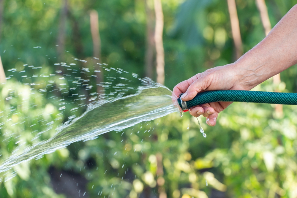 Uisce &Eacute;ireann are 'asking people to conserve water for essential use only and restrict the use of hoses.' Shutterstock