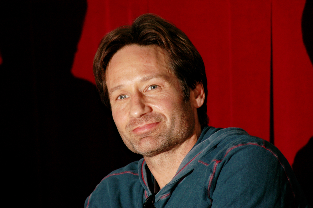 X-Files: David Duchovny Stuns Gillian Anderson With 'Brilliant' Acting Cheat Code 3 David Duchovny. Photo credit: Eleanore Studer, Shutterstock