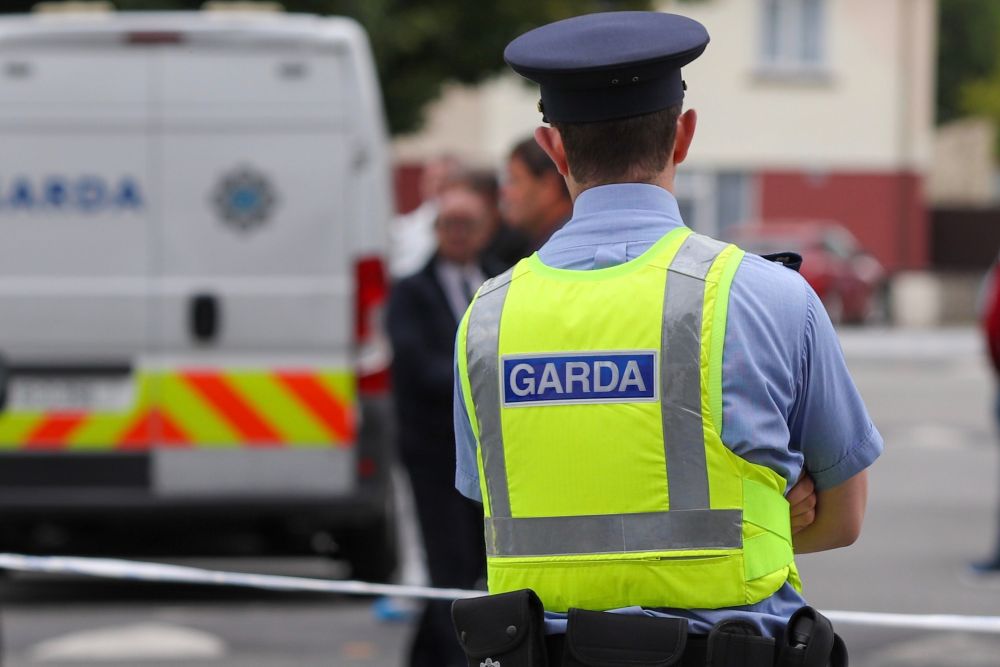 Garda&iacute; and car