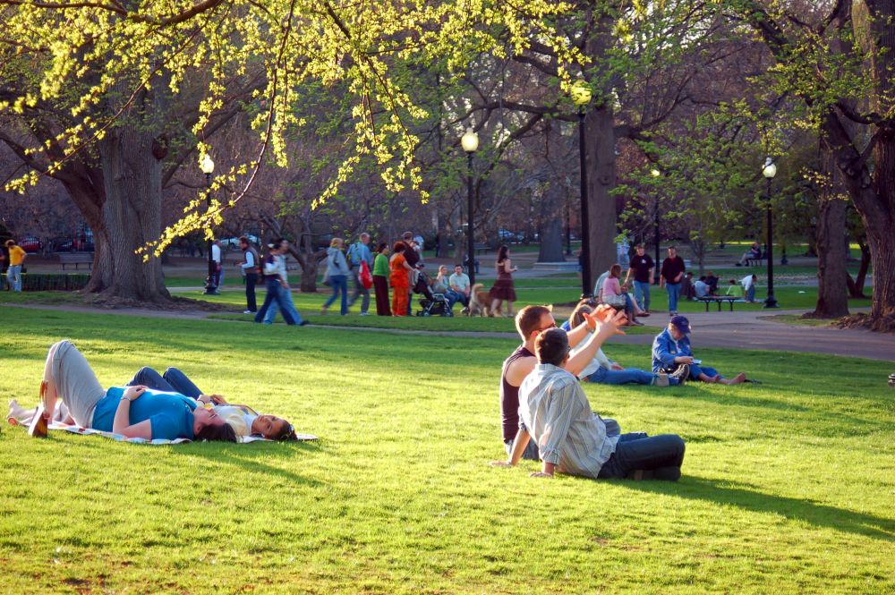 Sunny day in park