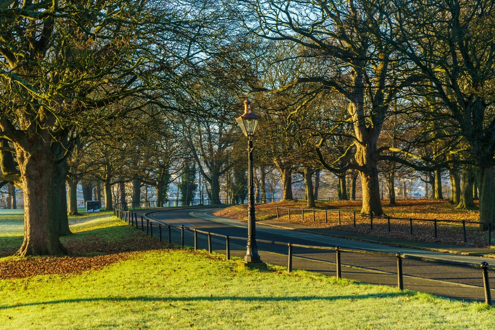 Anti-Trump Protest To Take Place This Saturday On Parnell 10 Phoenix Park. Photo credit: Shutterstock