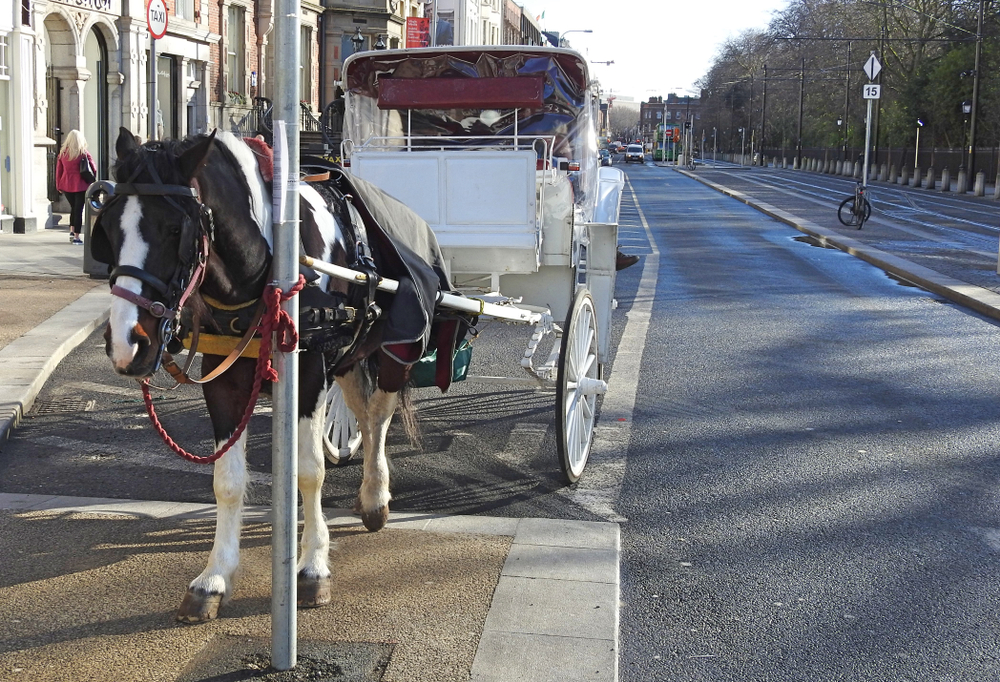 Sinn Féin Introduces Legislation To Regulate 'Wild West' Horse-Drawn Carriage Industry In Dublin 5 shutterstock 1344124304