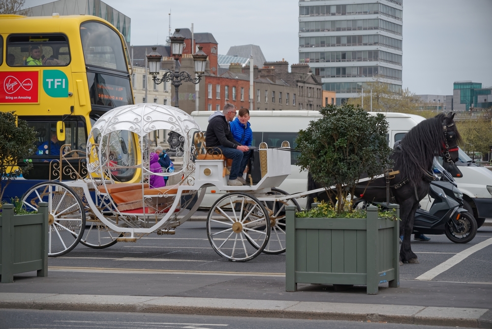 Sinn Féin Introduces Legislation To Regulate 'Wild West' Horse-Drawn Carriage Industry In Dublin 6 shutterstock 2173737581