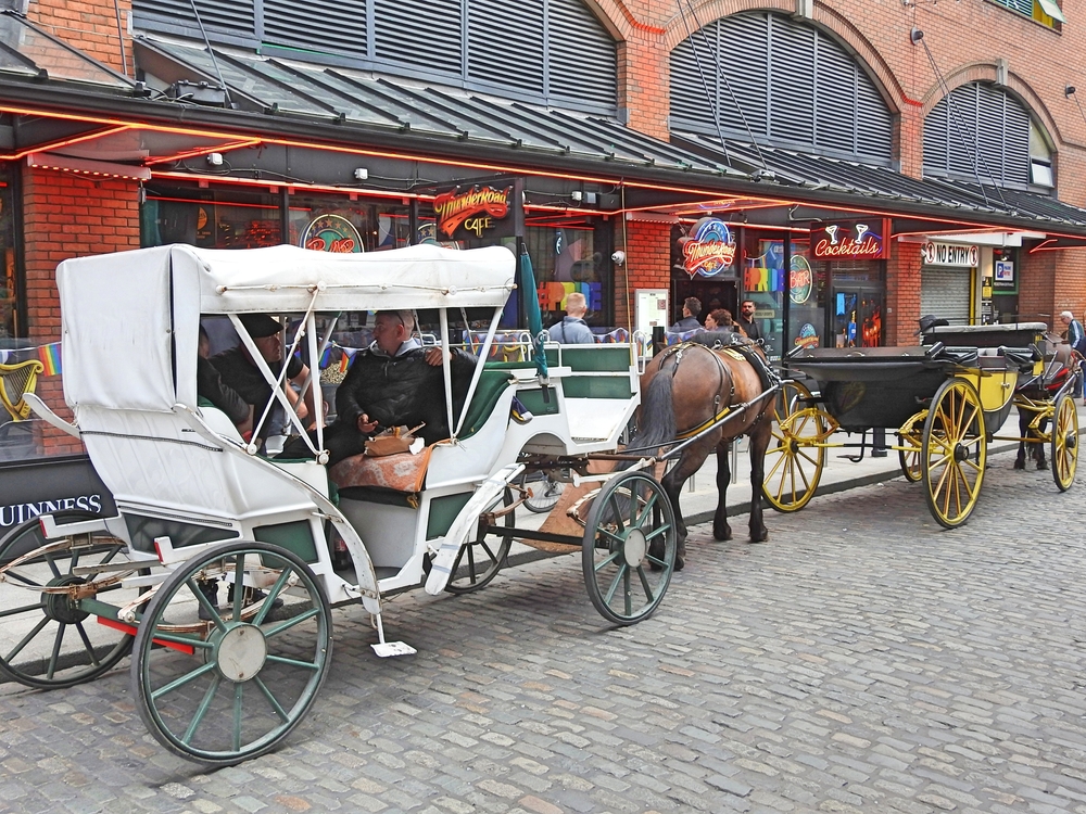 Sinn Féin Introduces Legislation To Regulate 'Wild West' Horse-Drawn Carriage Industry In Dublin 4 shutterstock 2499565753